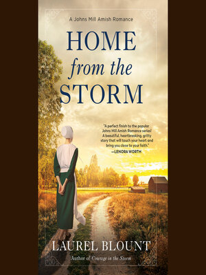 Home from the Storm - Audiobook